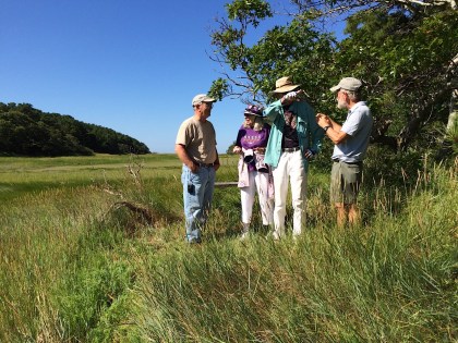 Bayberry Trail 081315