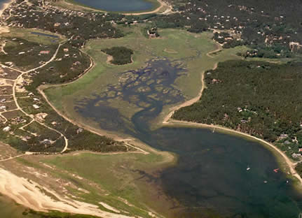 FoxIslandMarsh.jpg