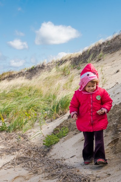 Seashells, too; photo by Kim Novino