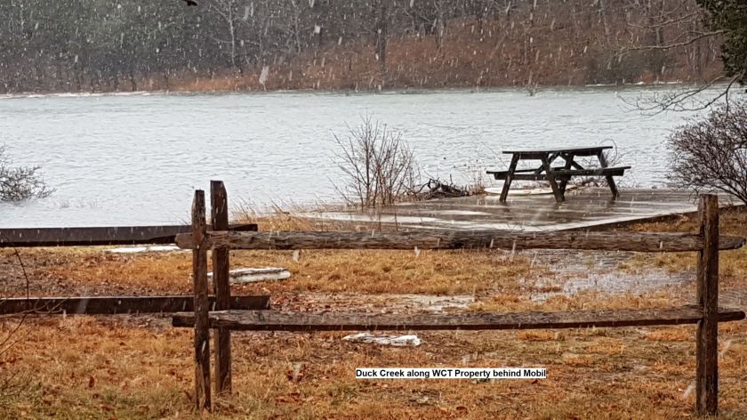 Duck Creek along WCT property behind Mobil