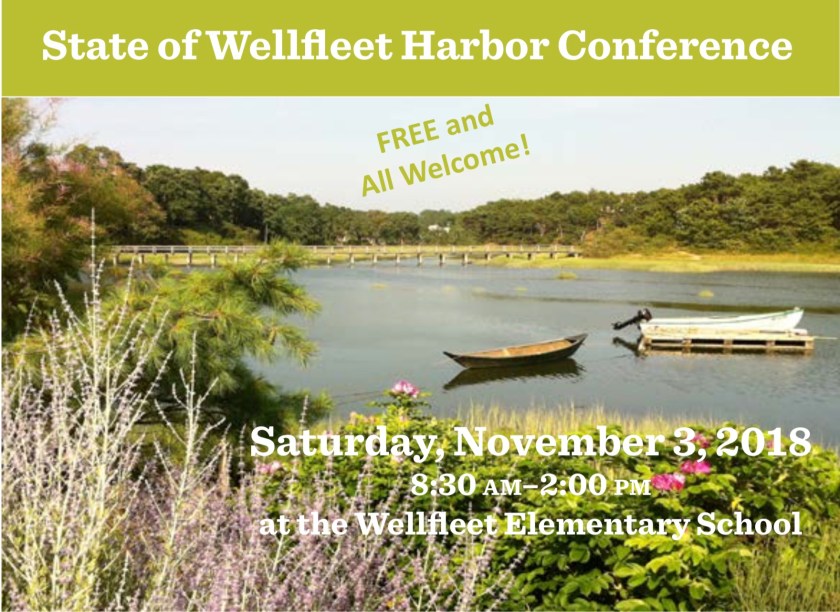 Screenshot 2018-10-15 13.21.39