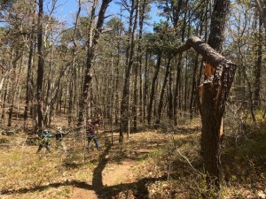 Gary Joseph, Chip Bruce, and Stephen Bruce adding their weight to the come-along's pull